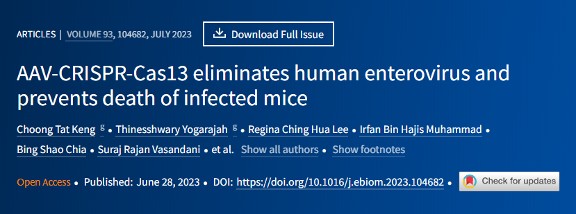 科學家在對抗導致人類疾病和流行病的RNA病毒方面取得了重要突破 科學家在對抗導致人類疾病和流行病的RNA病毒方面取得了重要突破