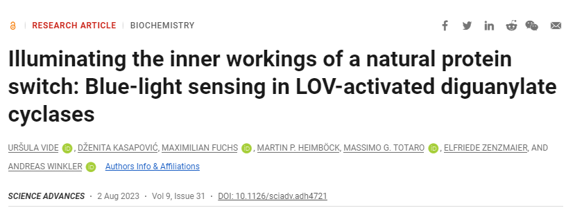 研究發(fā)現(xiàn)二胍酸環(huán)化酶蛋白調(diào)節(jié)了一種控制細(xì)菌生存方式的中心信使物質(zhì)的產(chǎn)生 研究發(fā)現(xiàn)二胍酸環(huán)化酶蛋白調(diào)節(jié)了一種控制細(xì)菌生存方式的中心信使物質(zhì)的產(chǎn)生