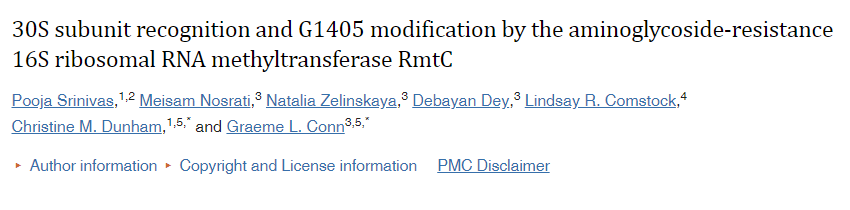 酶是如何鎖定在細(xì)菌核糖體上的一個特定位置