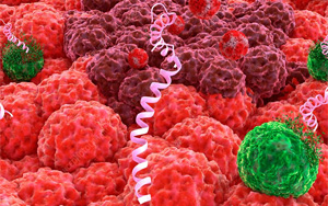 養(yǎng)殖業(yè)“替抗”破局利刃？--抑菌肽