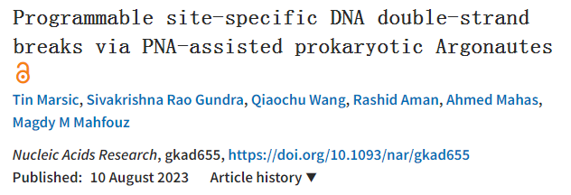 一項(xiàng)創(chuàng)新的基因組編輯技術(shù)用于特定位點(diǎn)的DNA操作