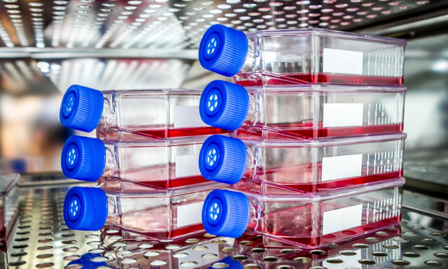 生物制藥中細胞培養(yǎng) 生物制藥中細胞培養(yǎng)