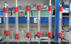 降“層析介質(zhì)”成本，增“分離純化”效率