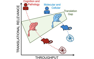 第一個(gè)遺傳性阿爾茨海默病狨猴動(dòng)物模型