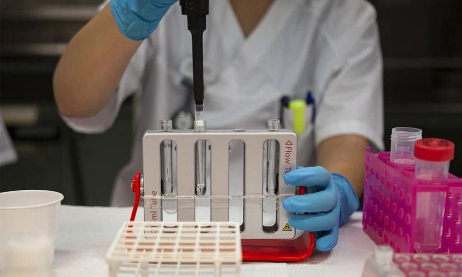 HP免疫層析 HP免疫層析