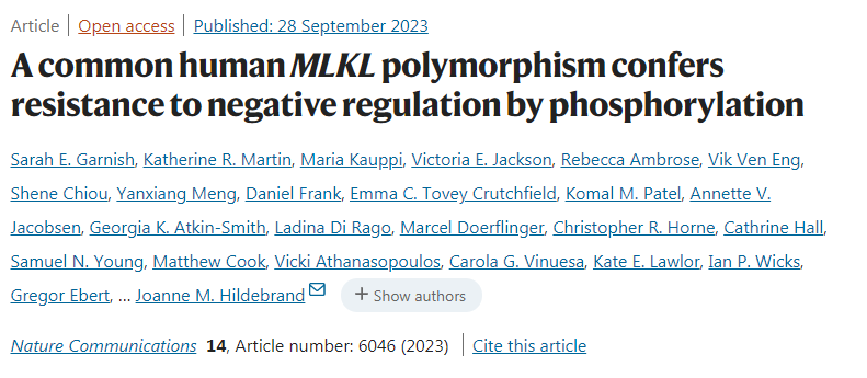 一種常見的人類多態(tài)MLKL通過磷酸化賦予負(fù)面調(diào)控抗性 一種常見的人類多態(tài)MLKL通過磷酸化賦予負(fù)面調(diào)控抗性