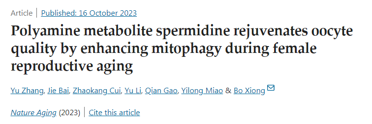 多胺代謝產(chǎn)物亞精胺在女性生殖衰老過程中通過增強線粒體自噬使卵母細胞質(zhì)量恢復活力
