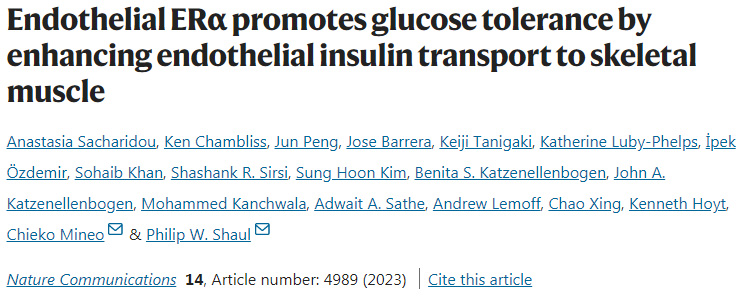 ERα通過加強內(nèi)皮胰島素向骨骼肌的轉(zhuǎn)運改善葡萄糖耐受