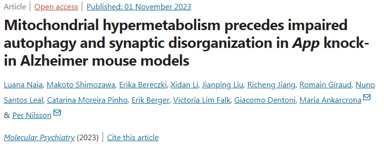 腸道細(xì)菌產(chǎn)生的短鏈脂肪酸(SCFAs)負(fù)責(zé)啟動(dòng)樹(shù)突細(xì)胞向腸腔延伸