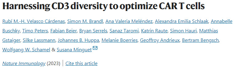 利用CD3多樣性優(yōu)化CAR T細(xì)胞