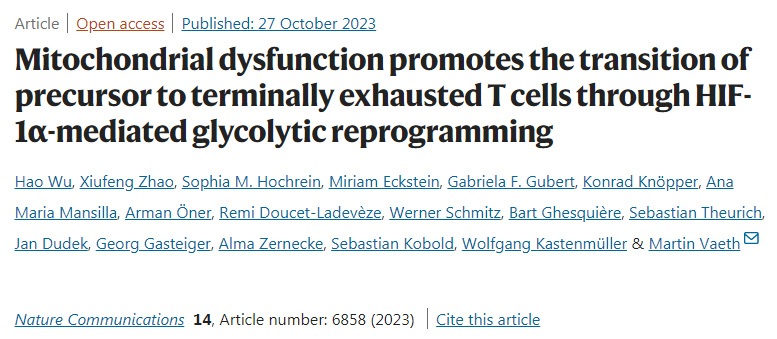 線粒體功能障礙通過HIF-1α介導(dǎo)的糖酵解重編程促進(jìn)前體向最終衰竭的T細(xì)胞的轉(zhuǎn)變