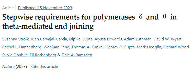 聚合酶δ和θ在θ介導(dǎo)的末端連接的逐步需求 聚合酶δ和θ在θ介導(dǎo)的末端連接的逐步需求