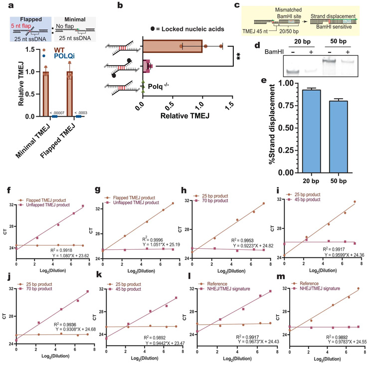 TMEJ的基本機(jī)制和驗證 TMEJ的基本機(jī)制和驗證
