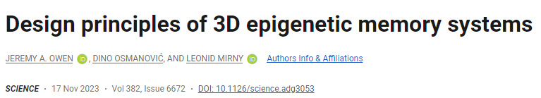 三維表觀遺傳記憶系統(tǒng)的設(shè)計原理