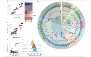 高血壓遺傳嗎？Nature子刊揭示高血壓的遺傳機(jī)制