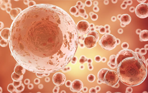 破解密碼：首次發(fā)現(xiàn)TP53突變蛋白的哪些特征對(duì)推動(dòng)癌癥生長(zhǎng)至關(guān)重要