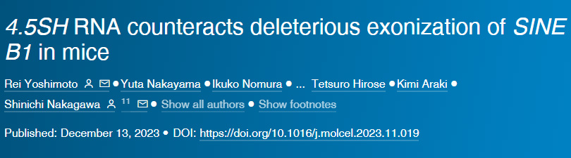 4.5SH RNA對(duì)抗小鼠SINE B1的有害外顯子作用