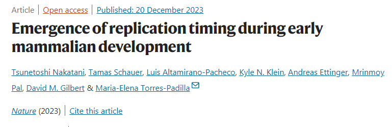 哺乳動(dòng)物早期發(fā)育過(guò)程中復(fù)制時(shí)機(jī)的出現(xiàn)