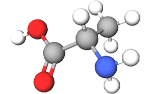 一個與血糖和睡眠有關(guān)的重要氨基酸
