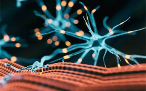 研究發(fā)現(xiàn)，鈣通道阻滯劑是逆轉(zhuǎn)肌強(qiáng)直性營(yíng)養(yǎng)不良肌肉無(wú)力的關(guān)鍵