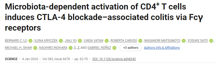 CD4+T細胞的微生物群依賴性激活通過Fcγ受體誘導(dǎo)CTLA-4阻斷相關(guān)結(jié)腸炎 CD4+T細胞的微生物群依賴性激活通過Fcγ受體誘導(dǎo)CTLA-4阻斷相關(guān)結(jié)腸炎