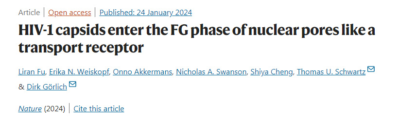 HIV-1的衣殼像細胞的貨物受體一樣進入細胞核