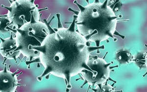 感染318天，體內(nèi)變異40次！COVID-19病例揭示新冠病毒的“超級(jí)進(jìn)化史”