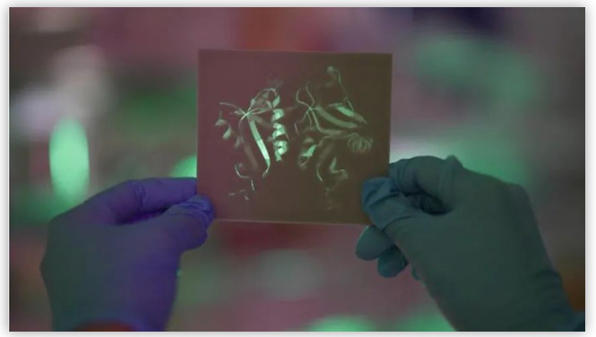 DECTIN-1蛋白質結構的3D打印 DECTIN-1蛋白質結構的3D打印