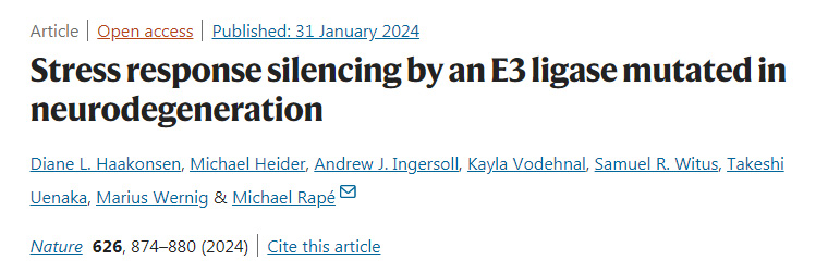 神經(jīng)退行性病變E3連接酶突變引發(fā)的應(yīng)激反應(yīng)沉默 神經(jīng)退行性病變E3連接酶突變引發(fā)的應(yīng)激反應(yīng)沉默