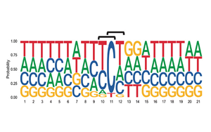 6次入院治療！連漫威英雄“金剛狼”都畏懼的這種癌癥，到底因何而起？