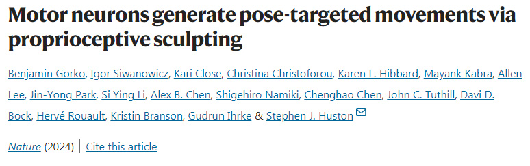 運動神經(jīng)元通過本體感覺產(chǎn)生姿勢定向運動