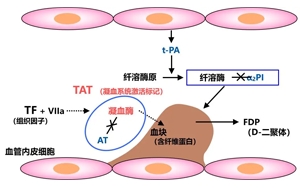  纖溶酶-α2纖溶酶抑制物復(fù)合物（PIC）-磁微粒化學(xué)發(fā)光法 （吖啶酯）解決方案