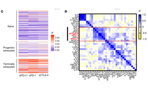 血液中可溶性免疫檢查點因子作為ICI癌癥免疫治療和評估T細胞衰竭治療效果的潛在生物標志物