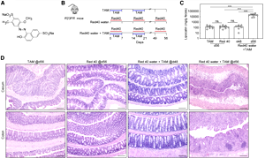 食品中廣泛使用的誘惑紅和落日黃，會誘導(dǎo)和加速結(jié)腸炎發(fā)展！
