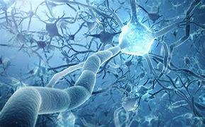 Science：當(dāng)神經(jīng)元向一個方向流動