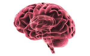 Nature Medicine：重新認(rèn)識APOE4和阿爾茨海默病