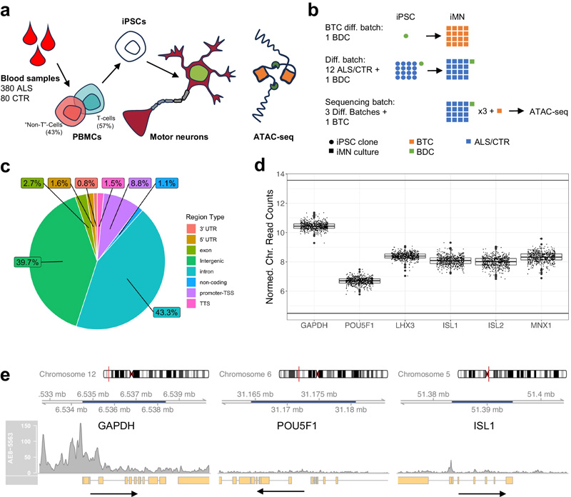 應答ALS ATAC序列數(shù)據(jù)