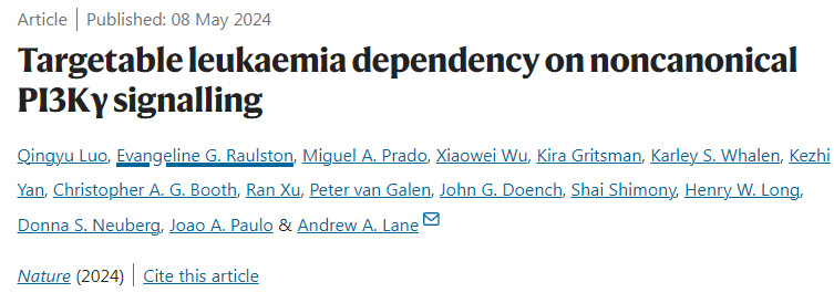 可靶向治療白血病對非經(jīng)典PI3Kγ信號傳導的依賴性