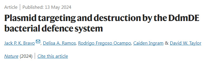 DdmDE細(xì)菌防御系統(tǒng)對質(zhì)粒的靶向和破壞