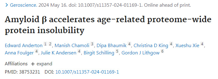 β淀粉樣蛋白加劇與年齡相關(guān)的蛋白質(zhì)組全蛋白質(zhì)的不溶性