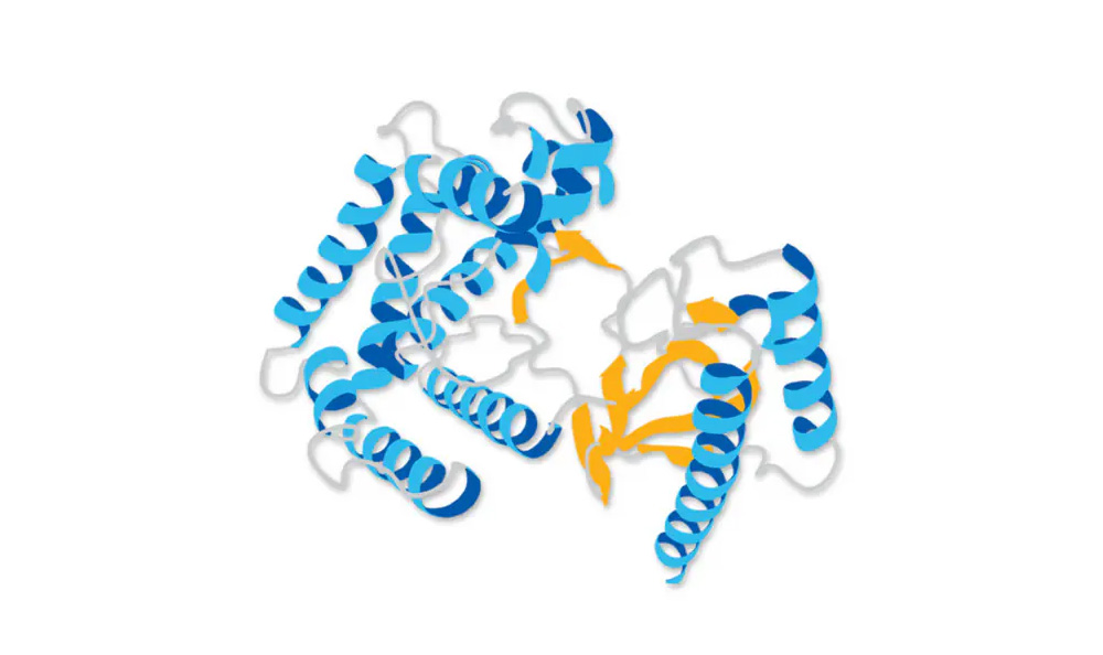 collagen III collagen III