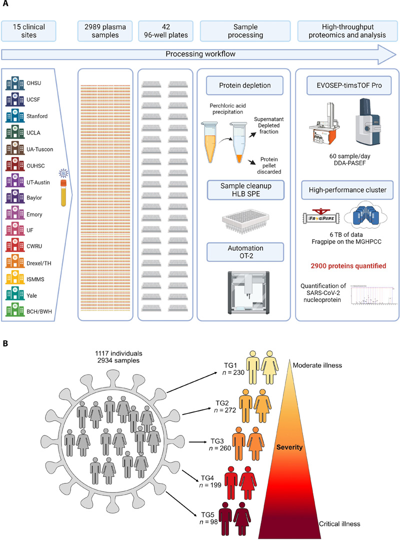 基于高通量LCMS的方法，用于分析數(shù)千個血漿樣本和隊列設(shè)計