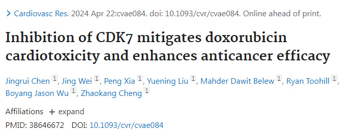 抑制細胞周期蛋白依賴性激酶7減輕阿霉素的心臟毒性并增強抗癌功效