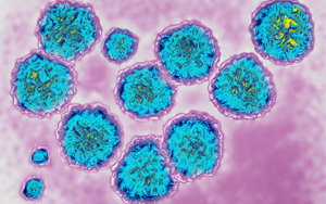 病毒吸收宿主RNA，急性感染可變慢性感染