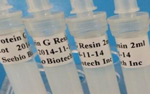 西寶生物 rProtein G SeePUR重組蛋白G親和層析預裝柱/填料系列產(chǎn)品-用于抗體純化！