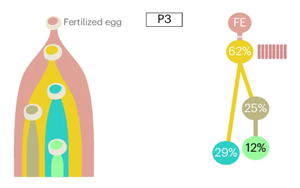 Nature Biotechnology：精確測量癌癥的進化，定義分析腫瘤基因組成的最佳算法