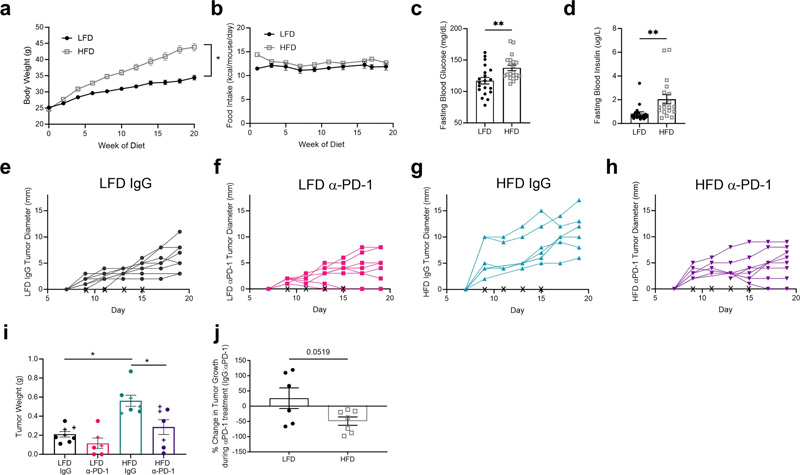 高脂肪飲食喂養(yǎng)誘導(dǎo)肥胖表型 高脂肪飲食喂養(yǎng)誘導(dǎo)肥胖表型