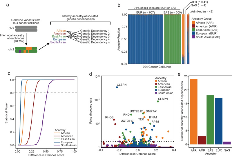 鑒定與祖先相關(guān)的遺傳依賴性