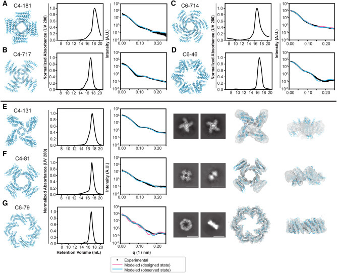 設(shè)計的蛋白質(zhì)低聚物的生物物理特性 設(shè)計的蛋白質(zhì)低聚物的生物物理特性