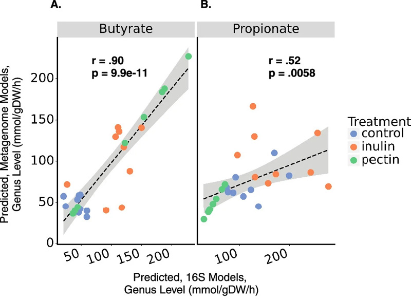 使用16S擴(kuò)增子測(cè)序或鳥槍宏基因組測(cè)序數(shù)據(jù)對(duì)SCFA產(chǎn)生的預(yù)測(cè)顯示出一致性 使用16S擴(kuò)增子測(cè)序或鳥槍宏基因組測(cè)序數(shù)據(jù)對(duì)SCFA產(chǎn)生的預(yù)測(cè)顯示出一致性